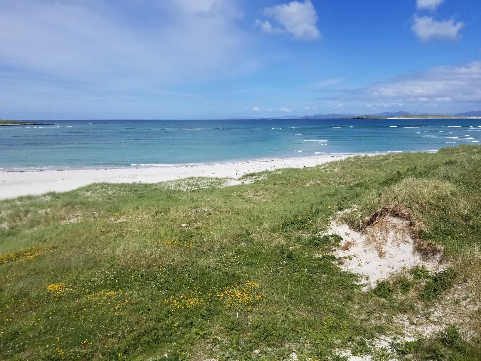 Sandee Traigh Lar