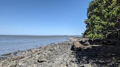 Sandee - China Camp Beach