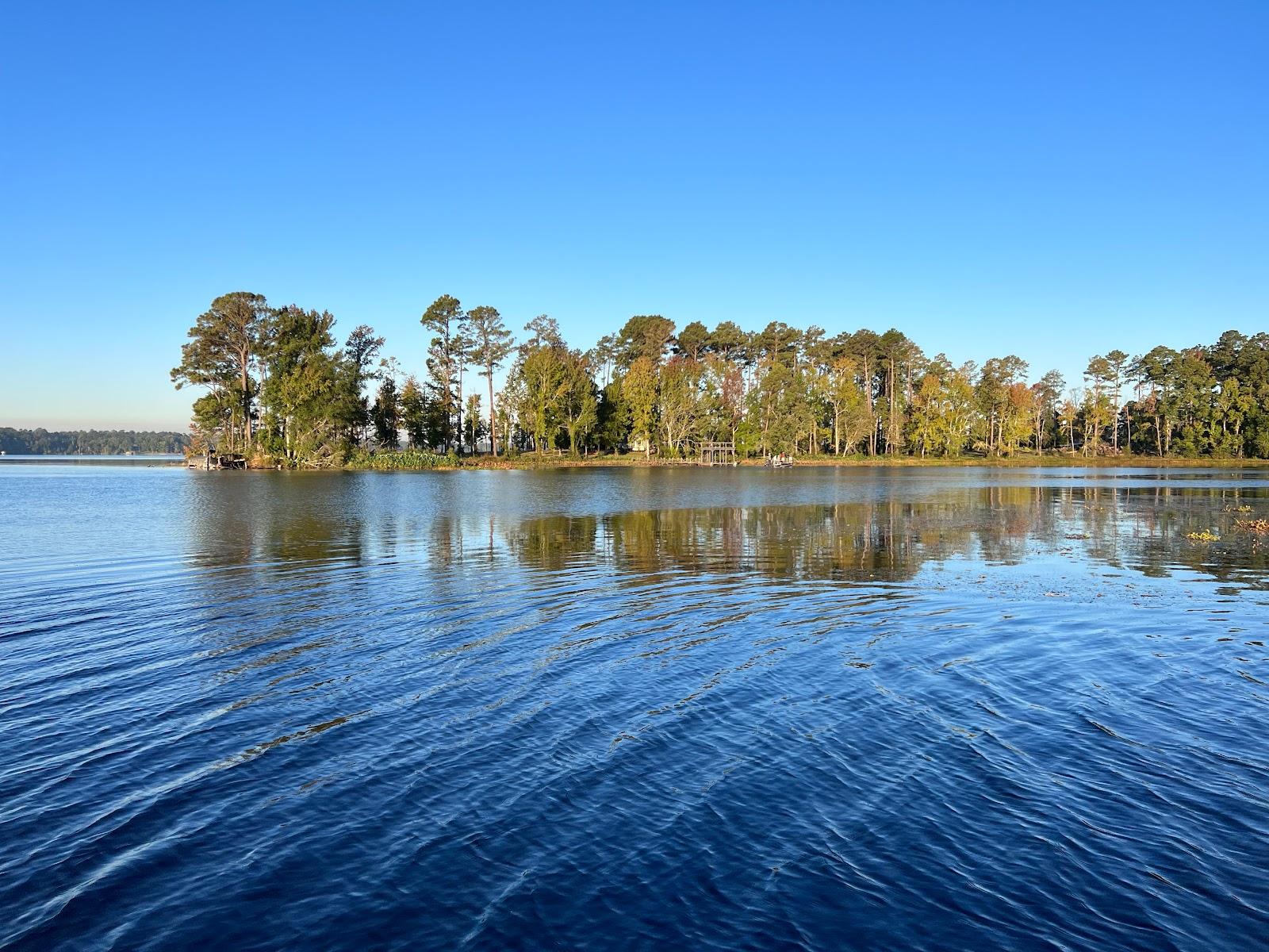 Sandee - Jimmie Davis State Park