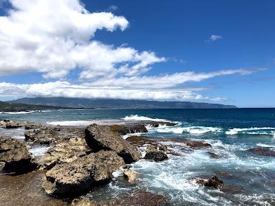 Sandee - Haleiwa Beach Park