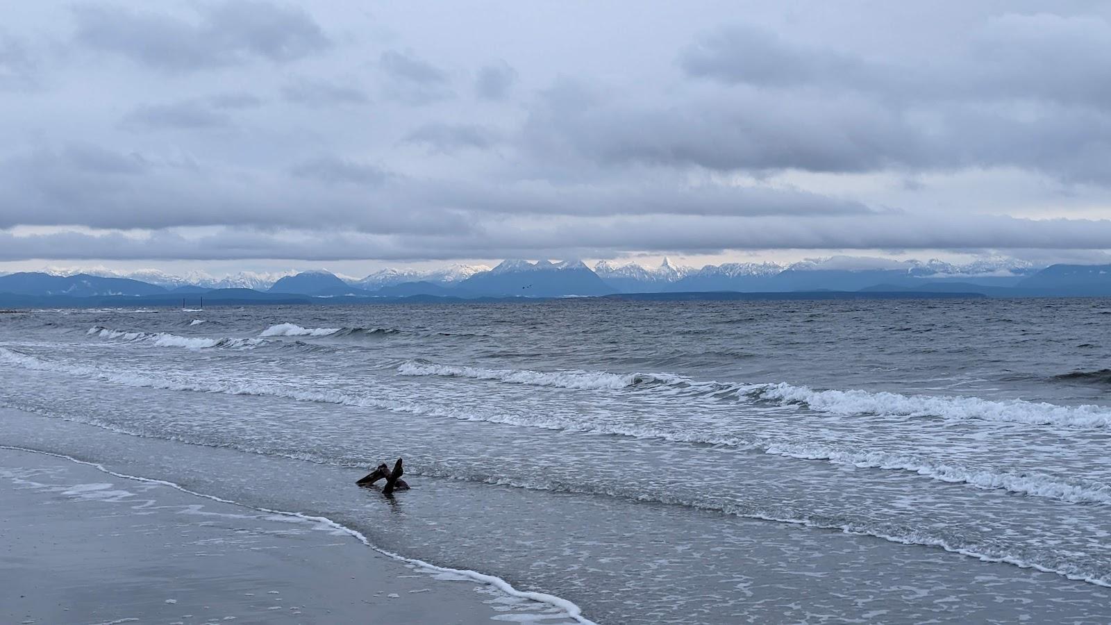 Sandee Saratoga Beach