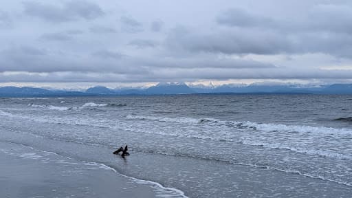 Sandee - Saratoga Beach