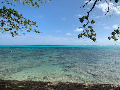 Sandee - Atiha Lodge Moorea