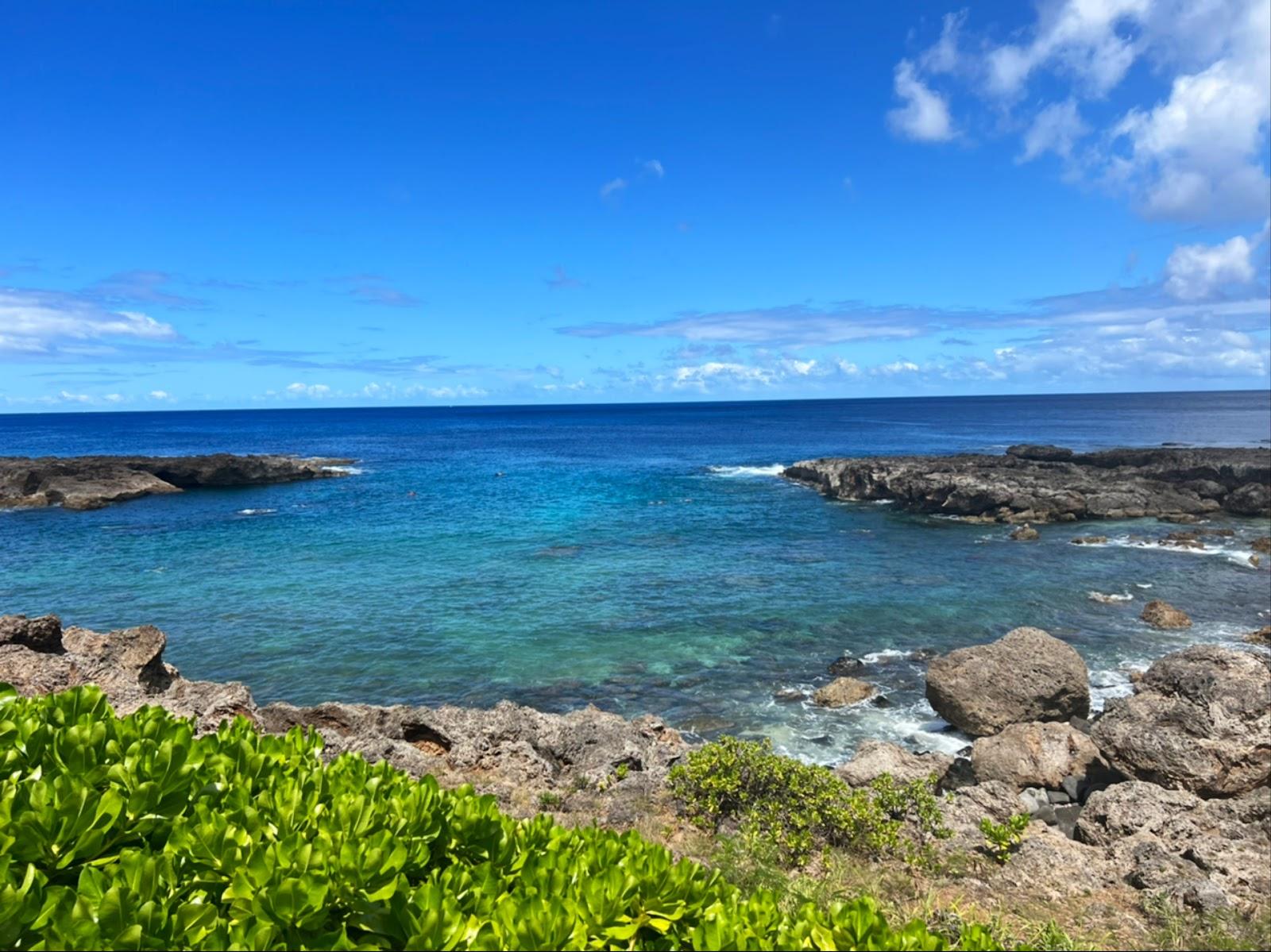 Sandee - Shark's Cove Beach