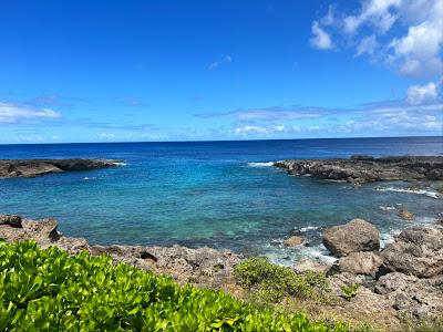 Sandee - Shark's Cove Beach