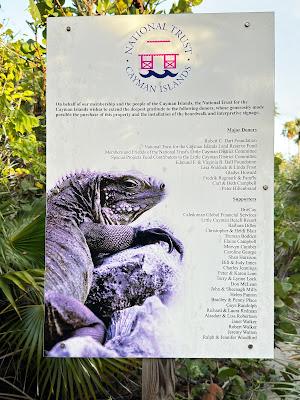 Sandee - Preston Bay Iguana Nesting Sanctuary