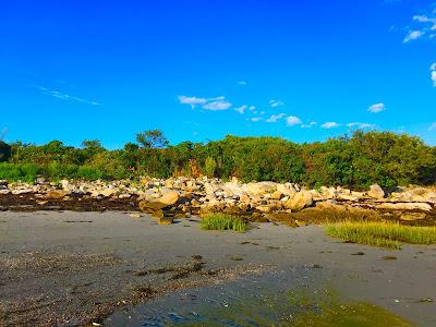 Sandee - Cape Porpoise Stage Island State Park