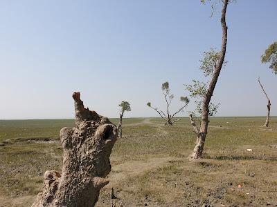 Sandee - South Kattali Sea Beach