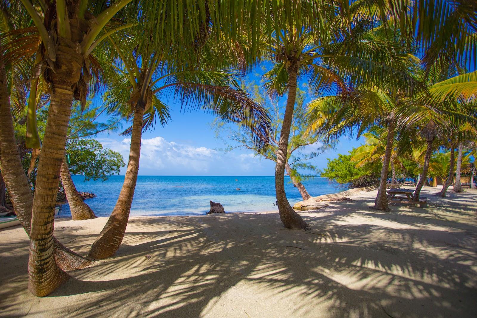 Sandee Billy Hawk Caye Photo