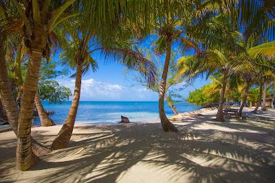 Sandee - Billy Hawk Caye