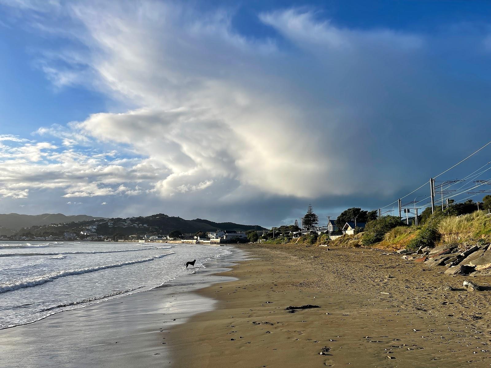 Sandee Plimmerton Beach