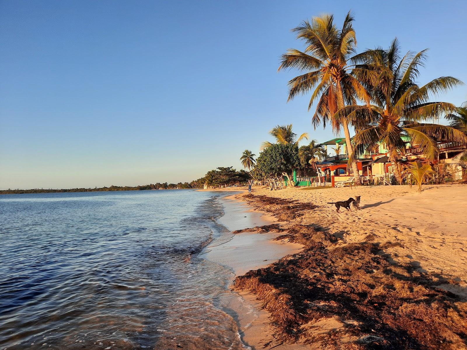 Sandee Playa Larga