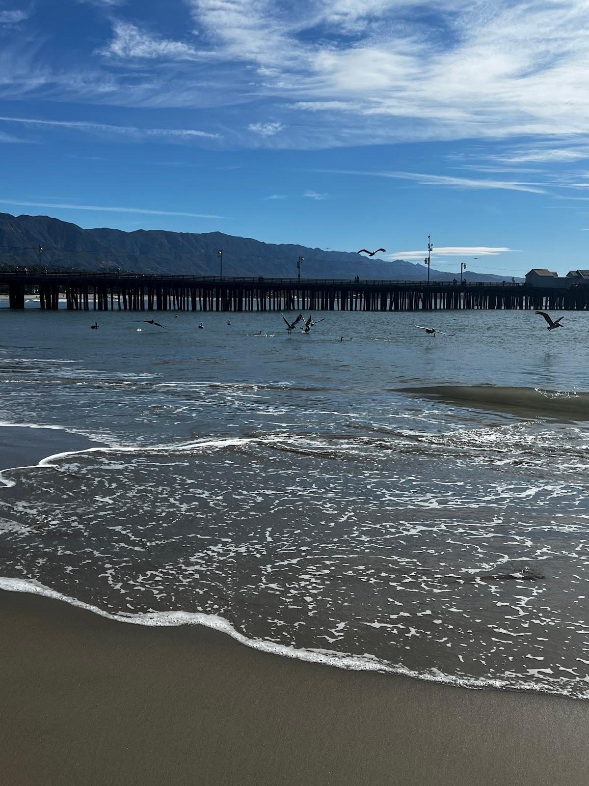 Sandee - West Beach, Stearns Wharf