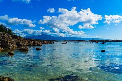 Sandee - Shark's Cove Beach