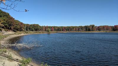 Sandee - Nordhouse Dunes Wilderness Area