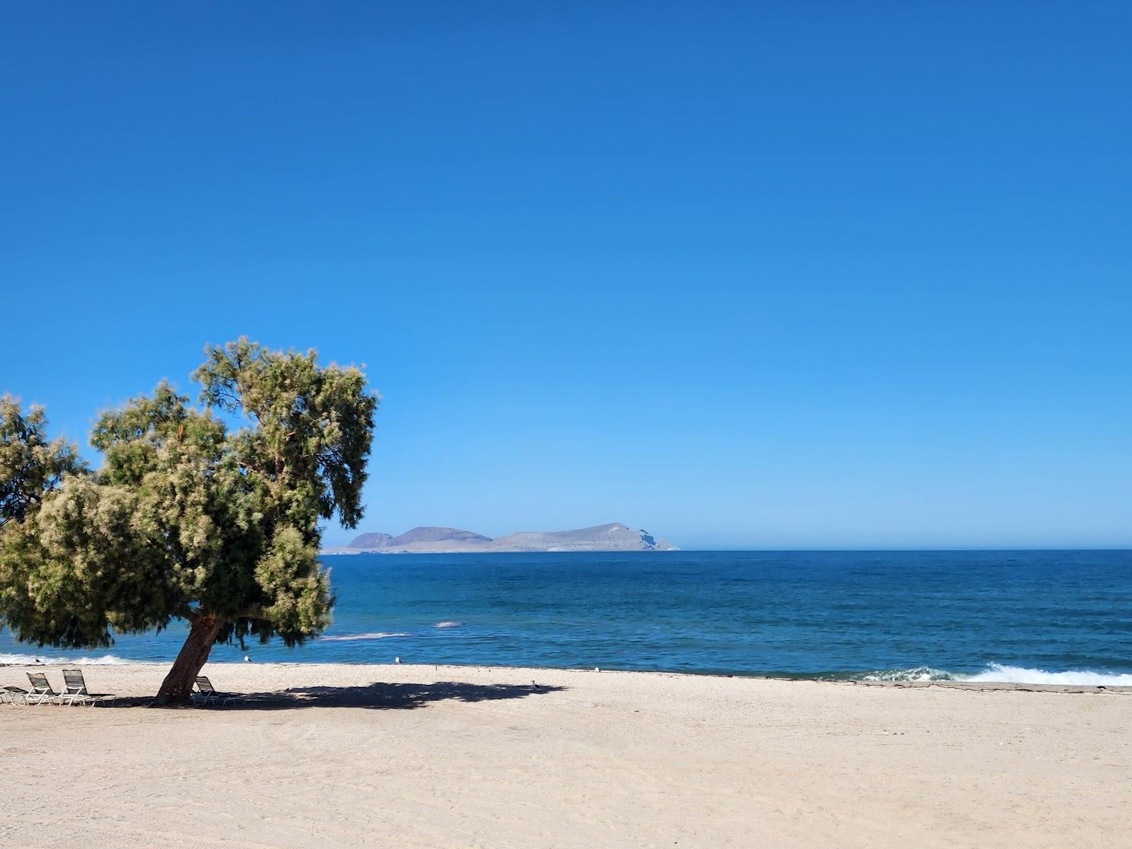 Sandee Baja Playa Del Sol Beachfront