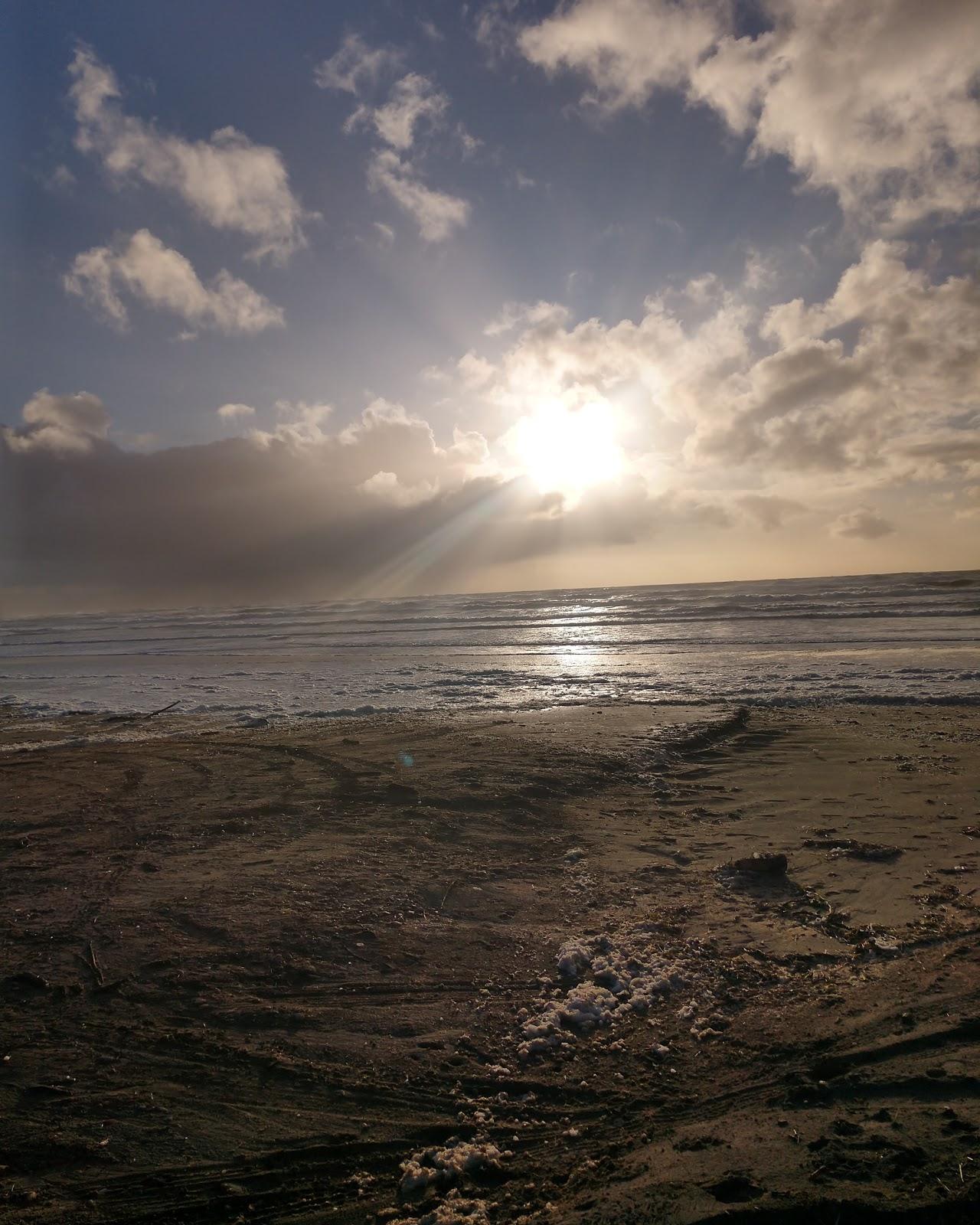 Sandee P. Kelly Boss Ocean Walk Landing