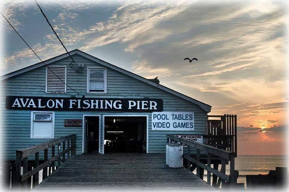 Sandee - Avalon Pier