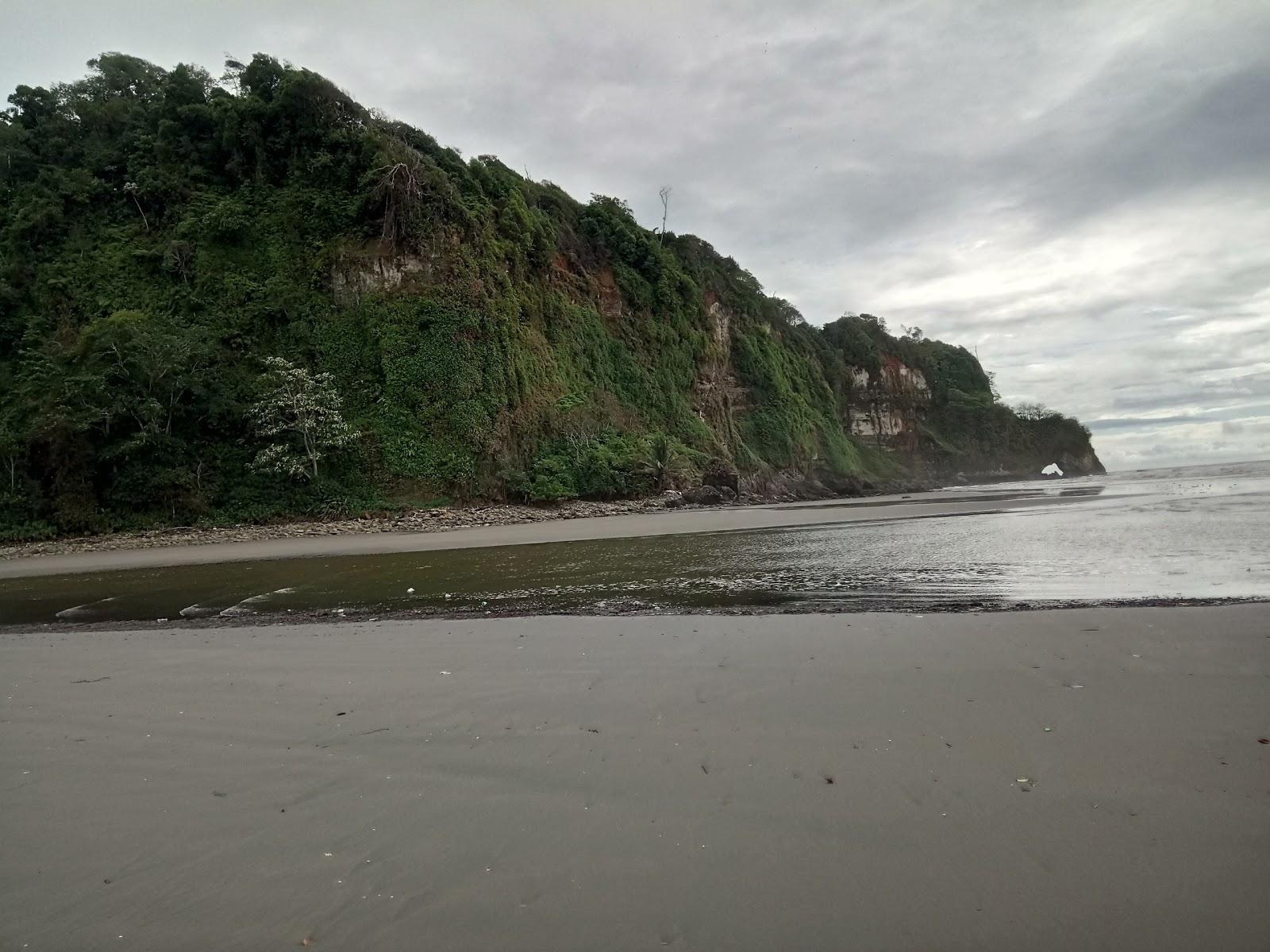 Sandee Hawaii Beach Salahonda