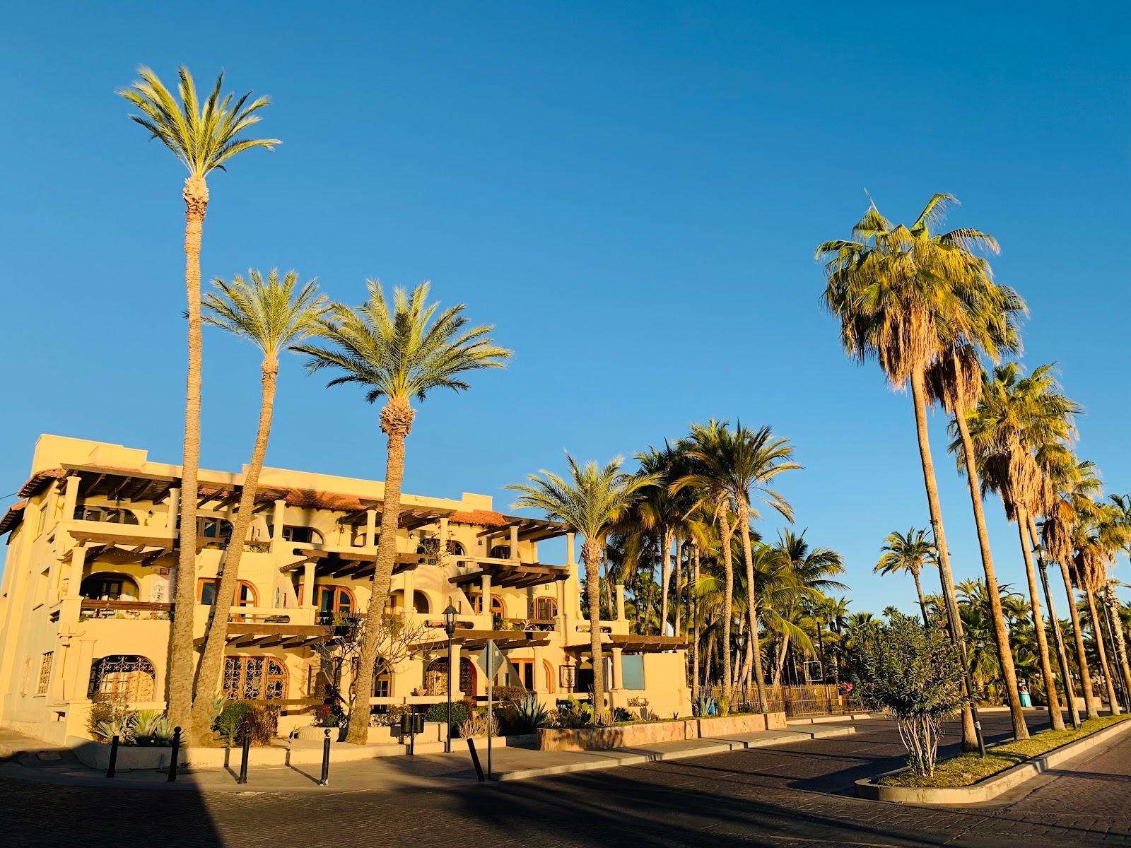 Sandee Playa Oasis