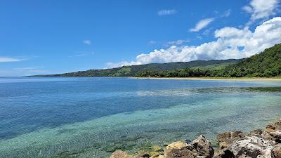 Sandee - Tree Alone Beach