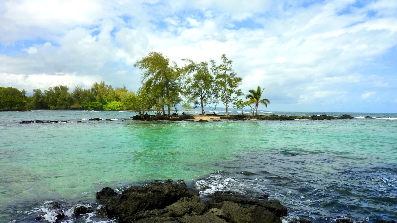 Sandee James Kealoha Park Photo