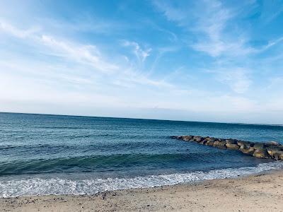 Sandee - Stoney Beach