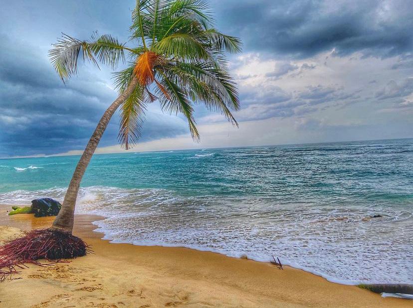 Sandee Thirukkovil Beach Photo