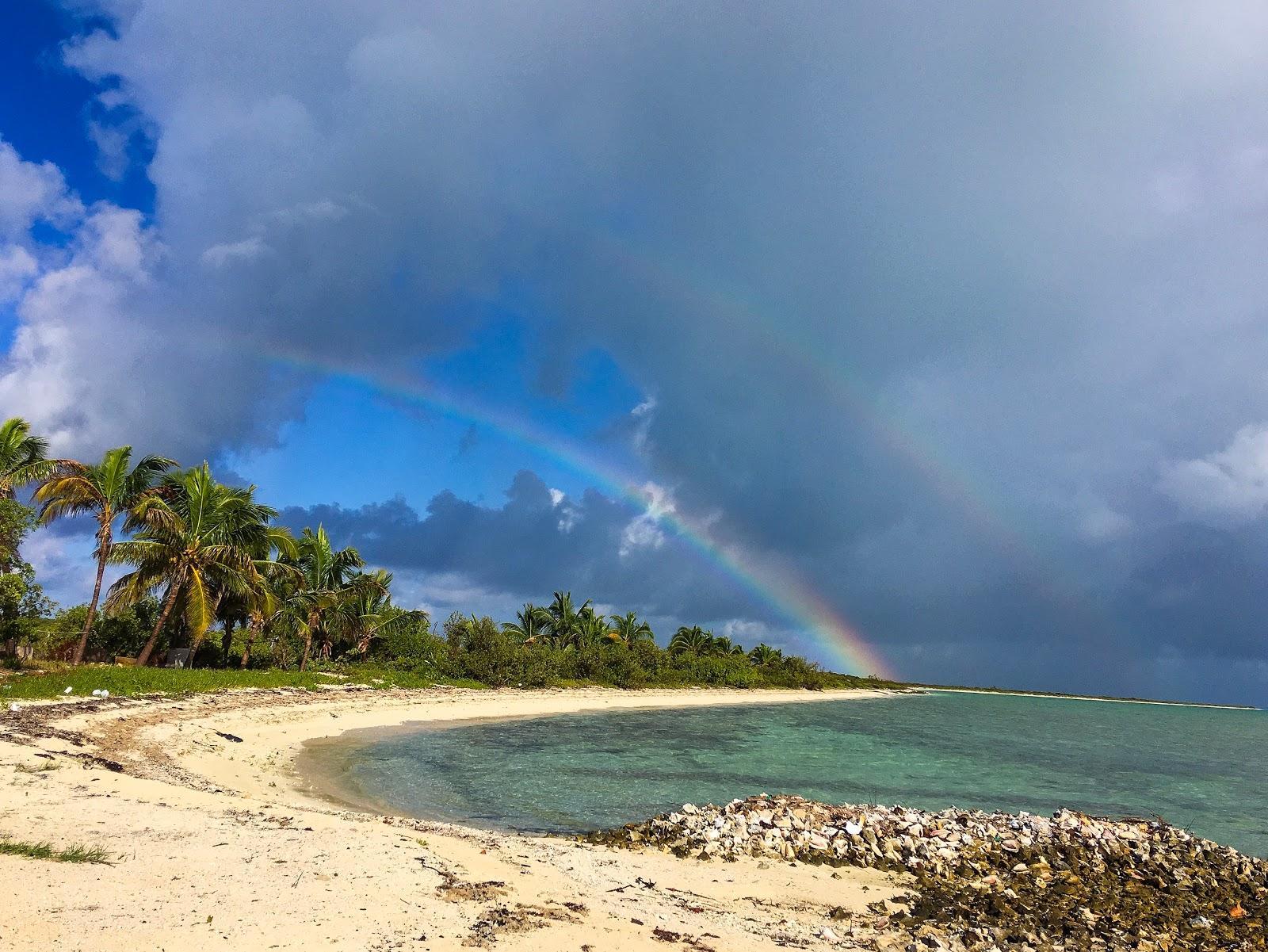 Sandee Atwood Harbour Beach