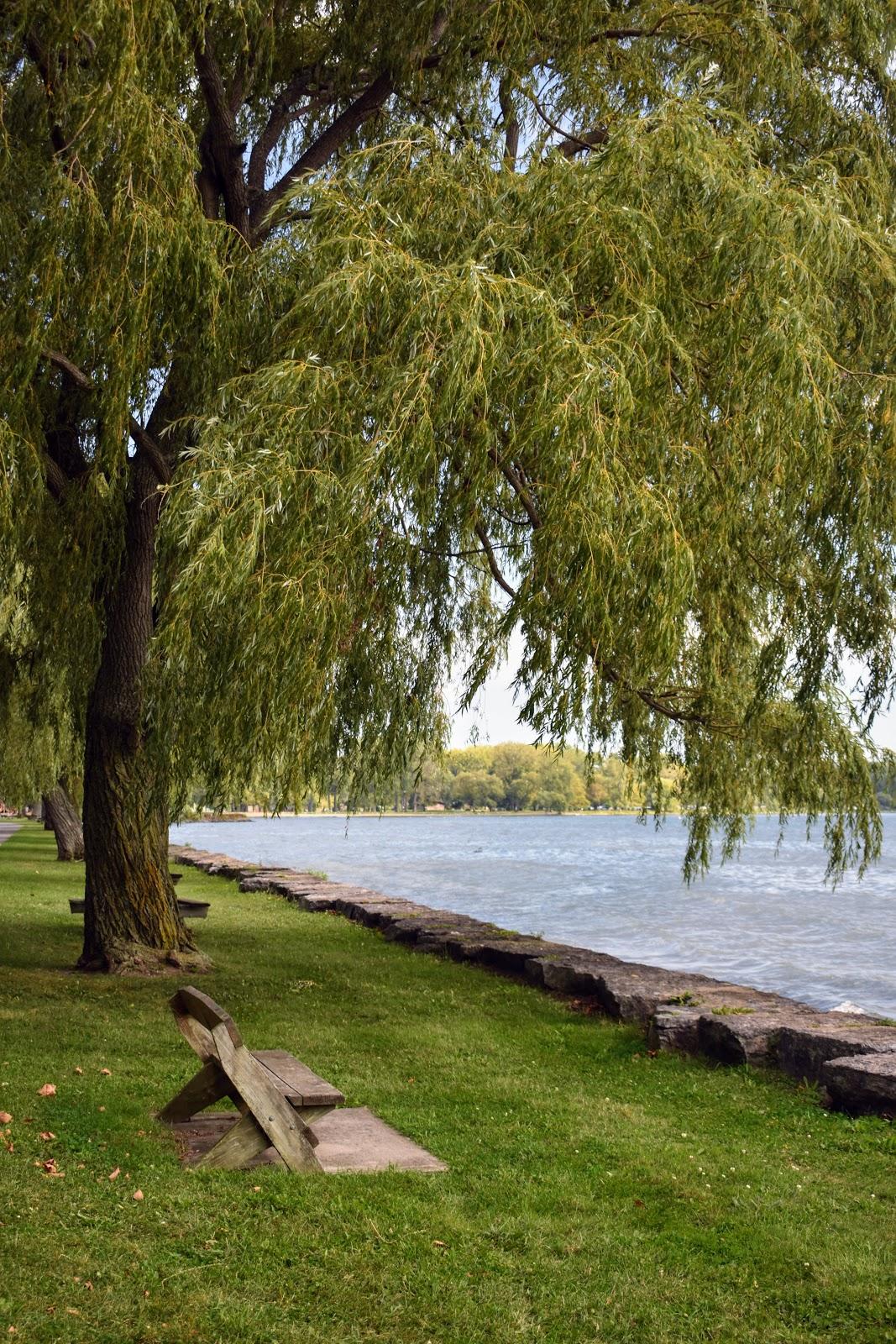 Sandee Seneca Lake Beach Photo