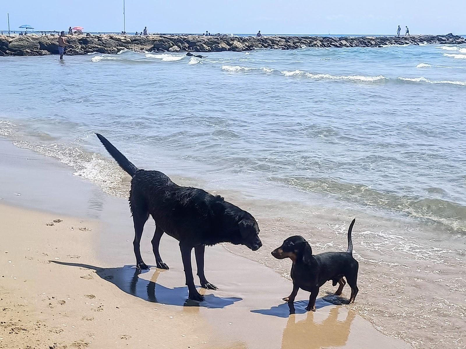 Sandee - Platja De Les Salines