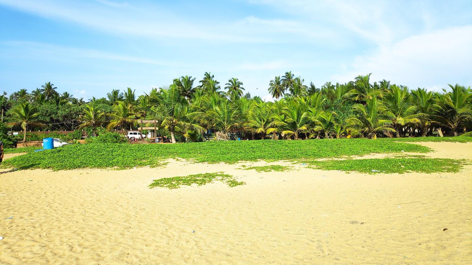 Sandee Waikkala Beach