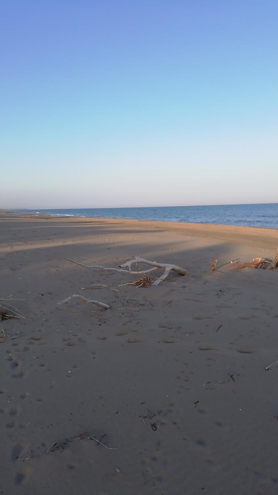Sandee Lido Di Scanzano