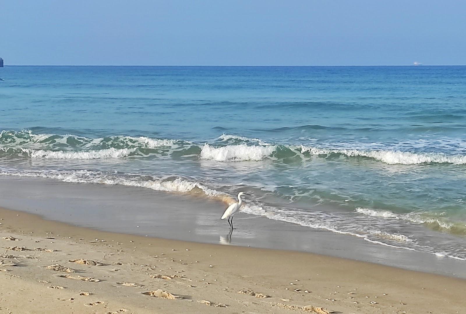 Sandee Gandhi Beach
