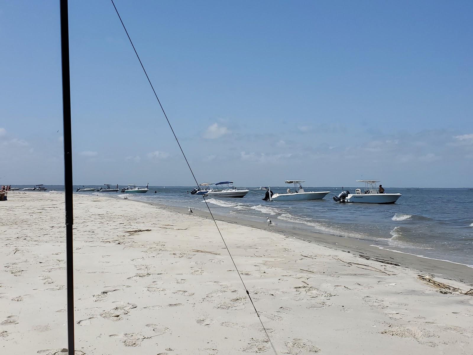 Sandee Wassaw Island - North Beach