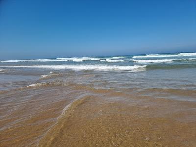 Sandee - Praia Naturista Da Bela Vista Ou Dezanove