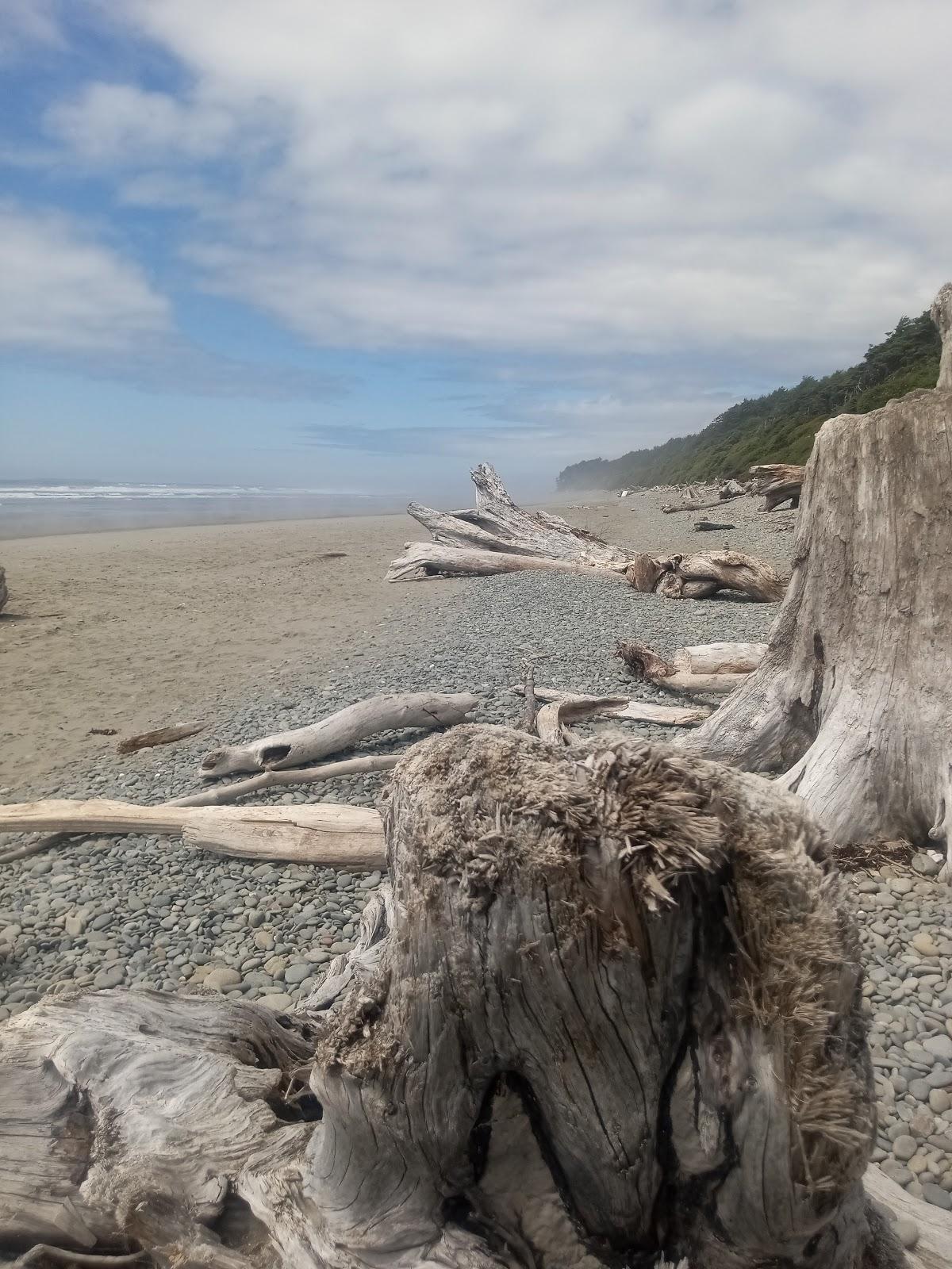 Sandee - Beach 2, Olympic National Park