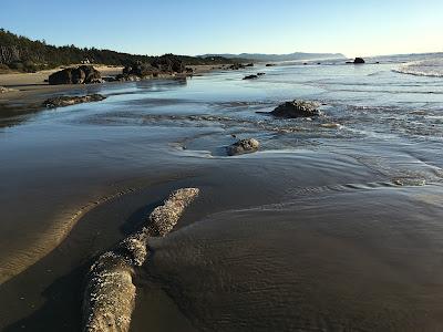 Sandee - Driftwood Beach State Recreation Site