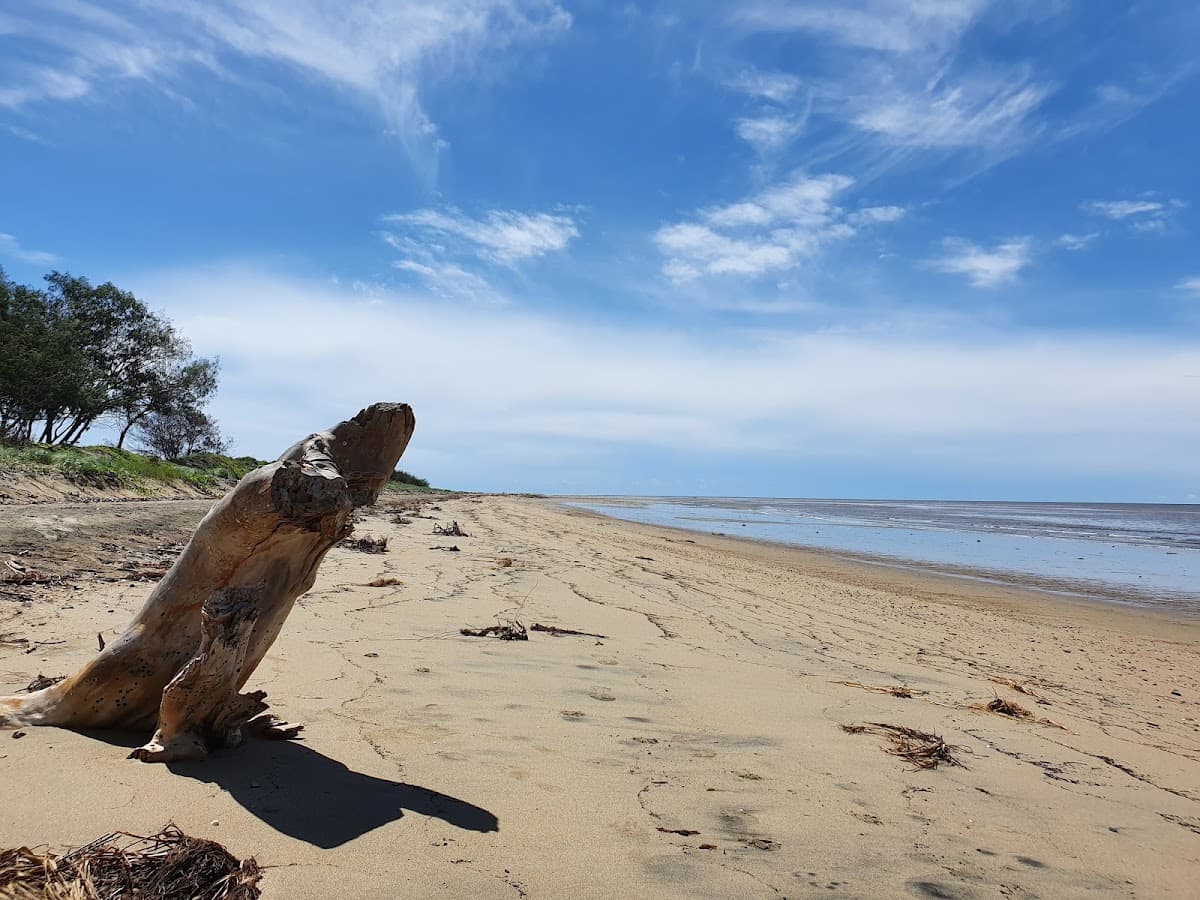Sandee Dog-Off Leash Beach Photo