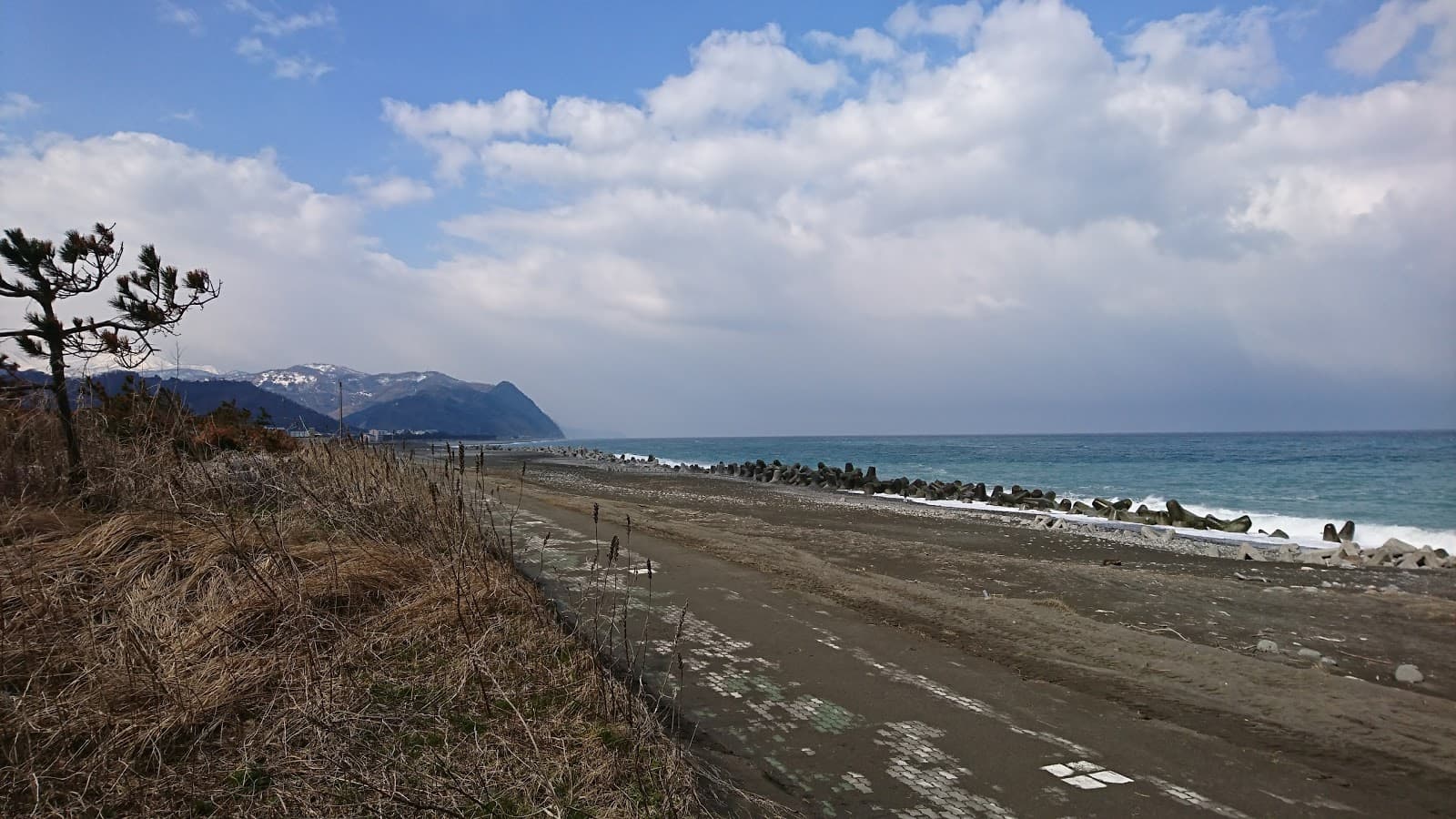 Sandee Suzawa Seaside Park Photo