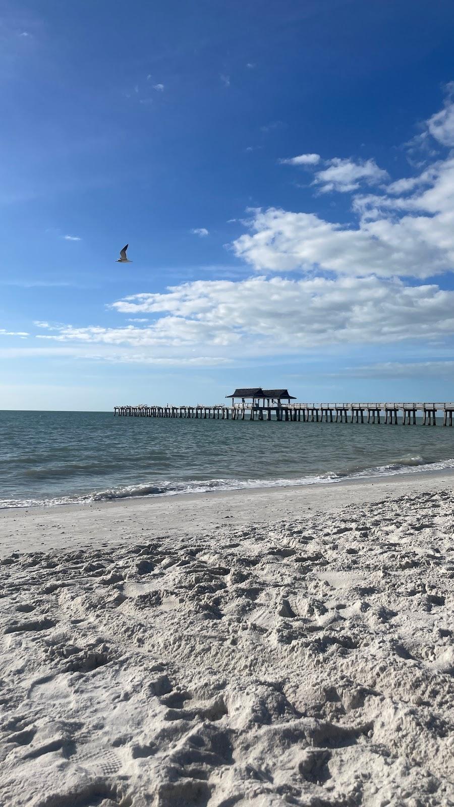 Sandee - Naples Municipal Beach