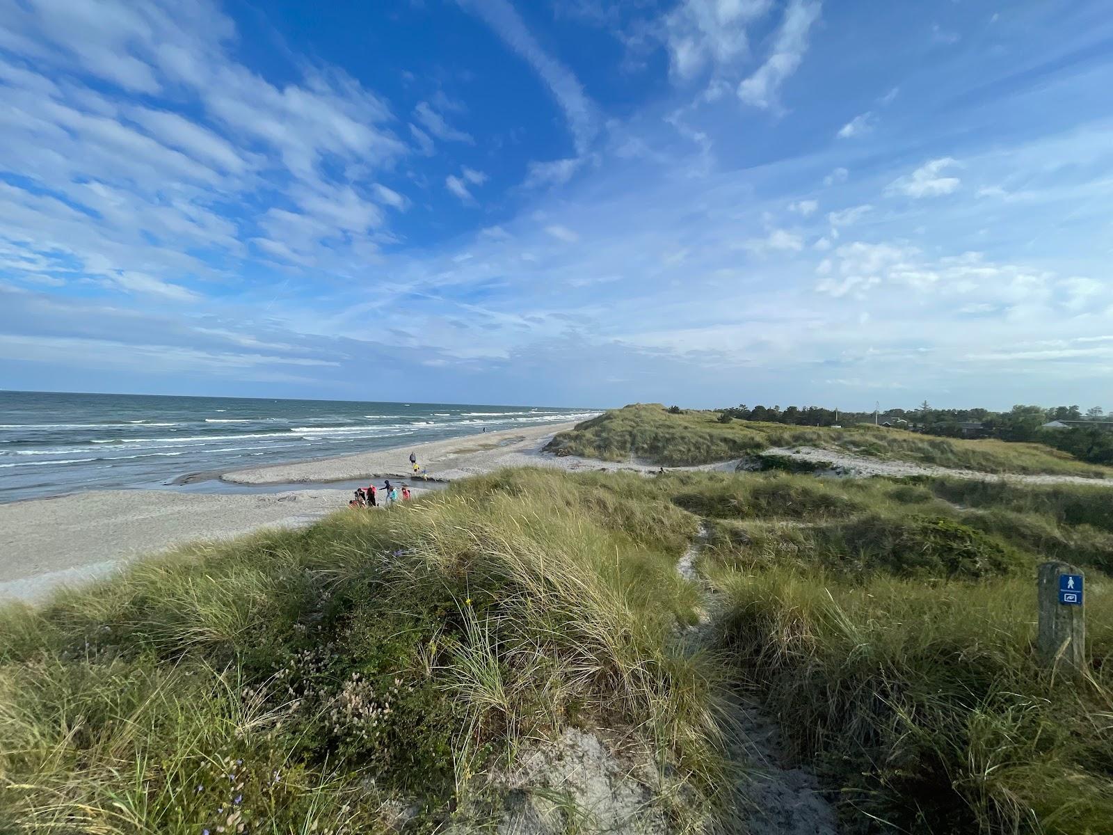 Sandee Lyngsa Strand