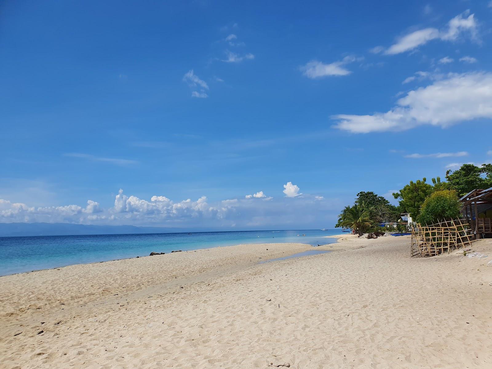 Sandee - White Beach Moalboal