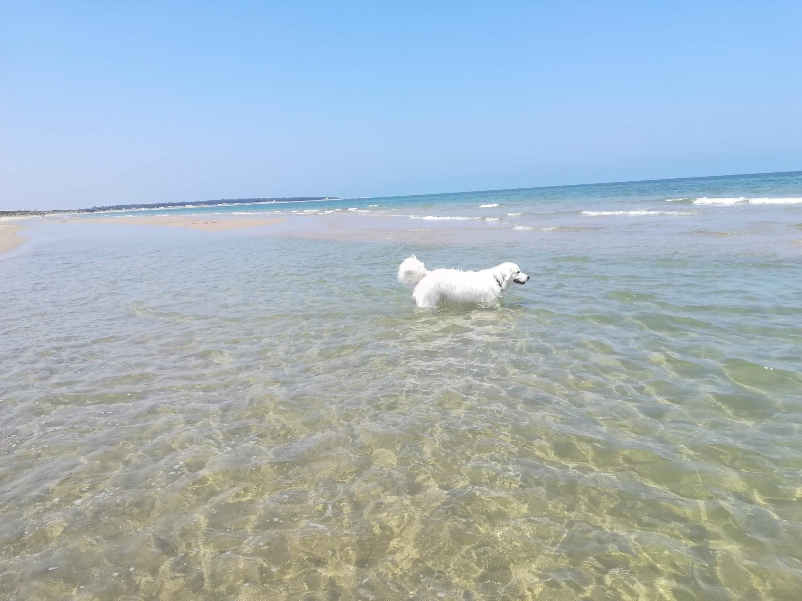 Sandee Spiaggia Di Pennacchio Photo