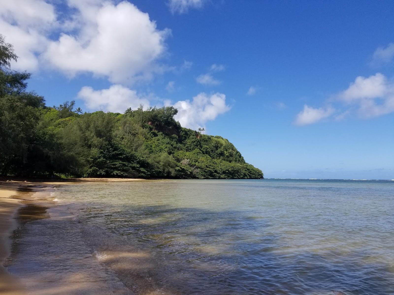 Sandee Wyllie Beach