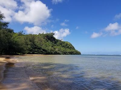 Sandee - Wyllie Beach