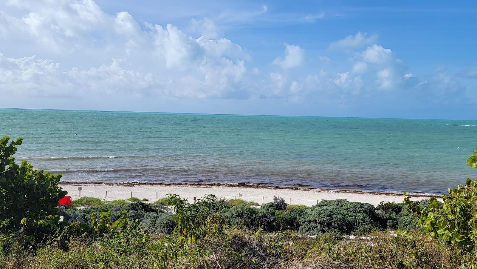 Sandee - Calusa Beach & Loggerhead Beach