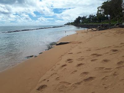 Sandee - Fuji Beach