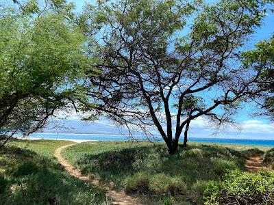 Sandee - Ma'Alaea Beach / Sugar Beach