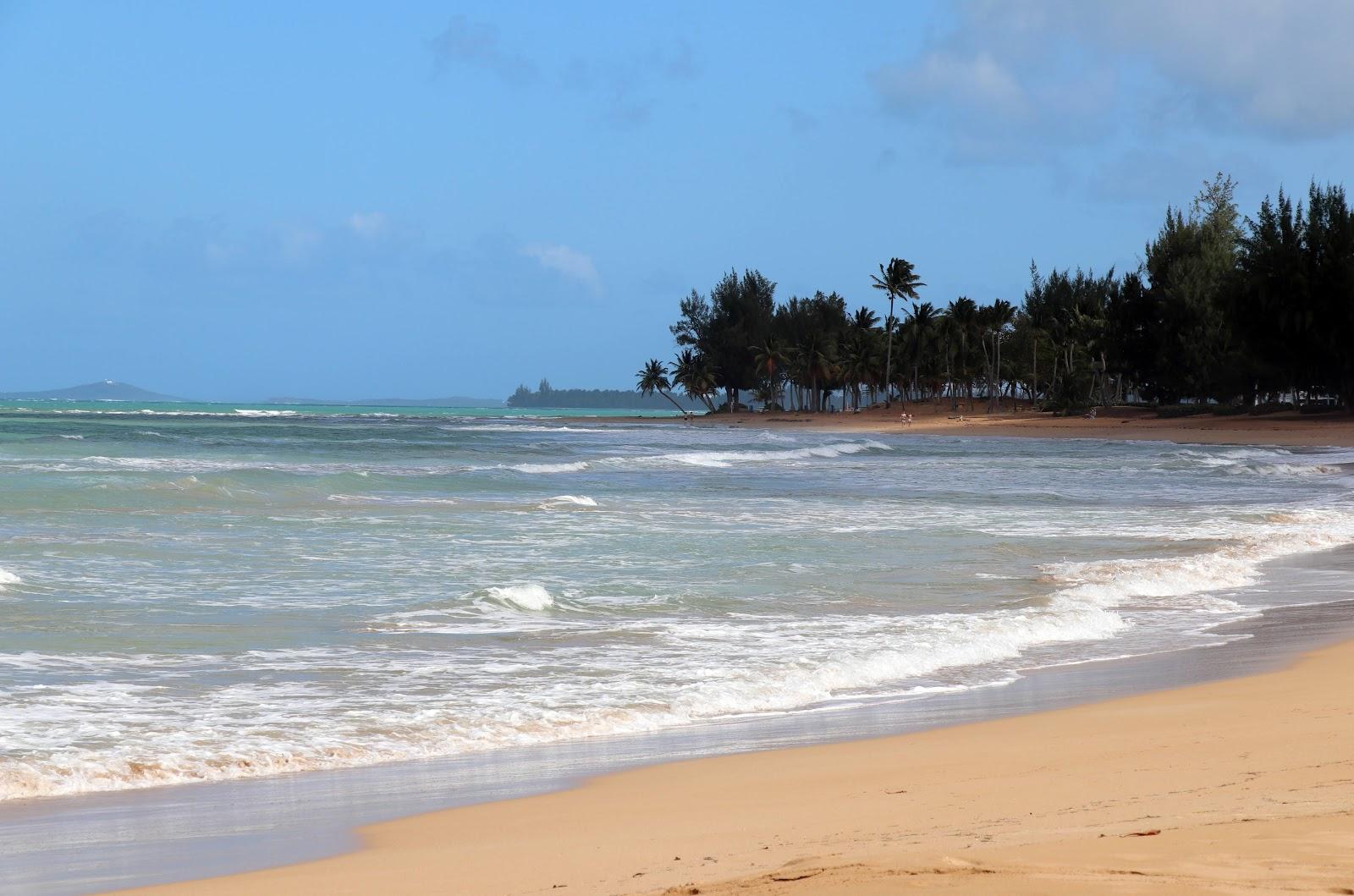 Sandee - HomePage / Playa Fortuna